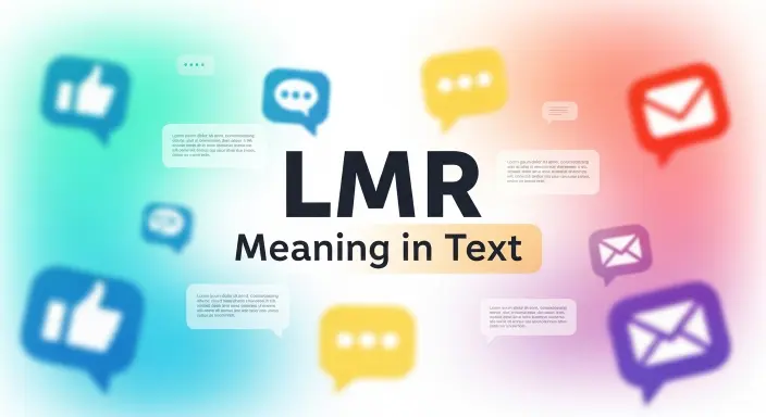 LMR Meaning in Text