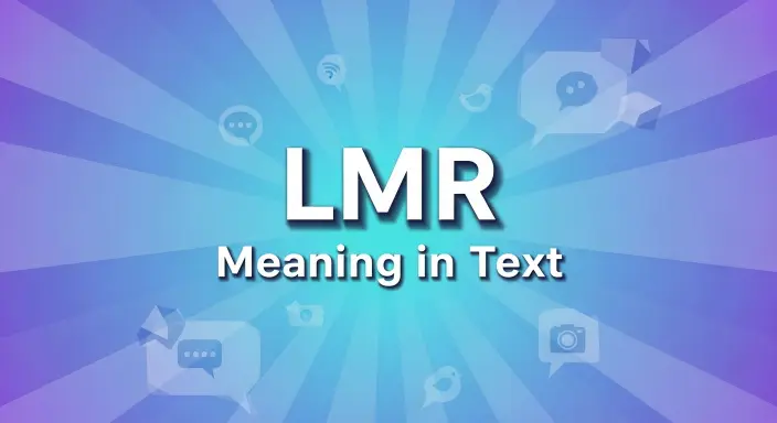 LMR Meaning Text