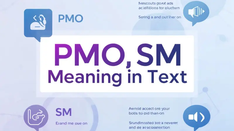 PMO SM Meaning in Text