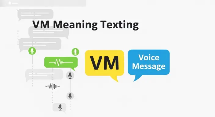 VM Meaning Texting
