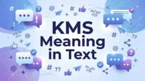 Read more about the article KMS Meaning in Text: Examples, Uses, and Context